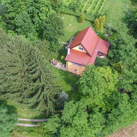 Villa Lorena Krapinske Toplice Εξωτερικό φωτογραφία