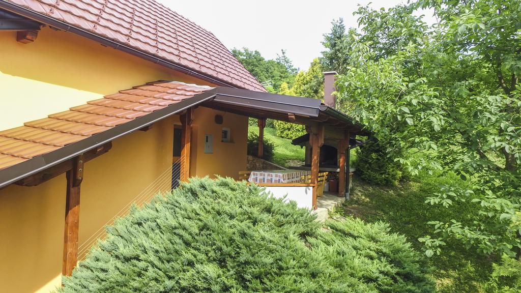 Villa Lorena Krapinske Toplice Εξωτερικό φωτογραφία