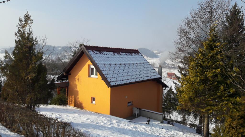 Villa Lorena Krapinske Toplice Εξωτερικό φωτογραφία